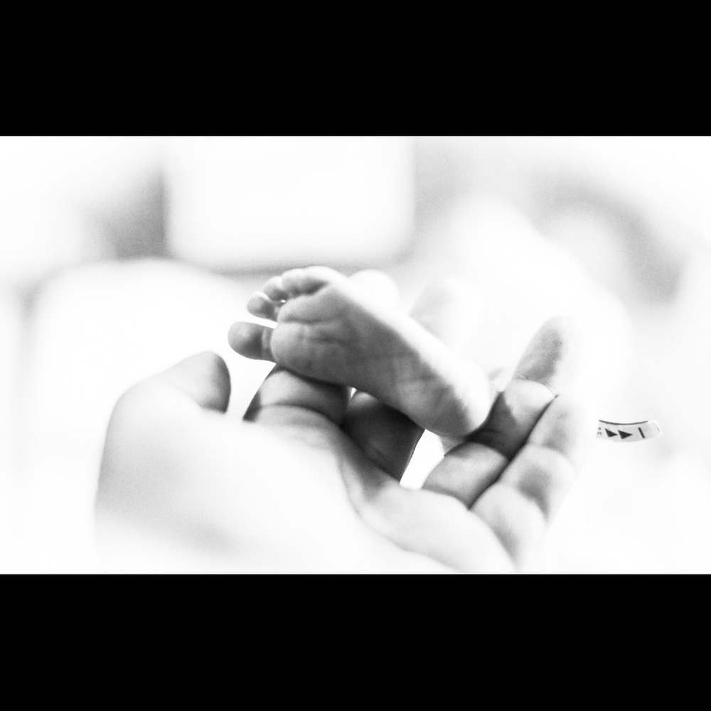 Meet your Posher, Edgar